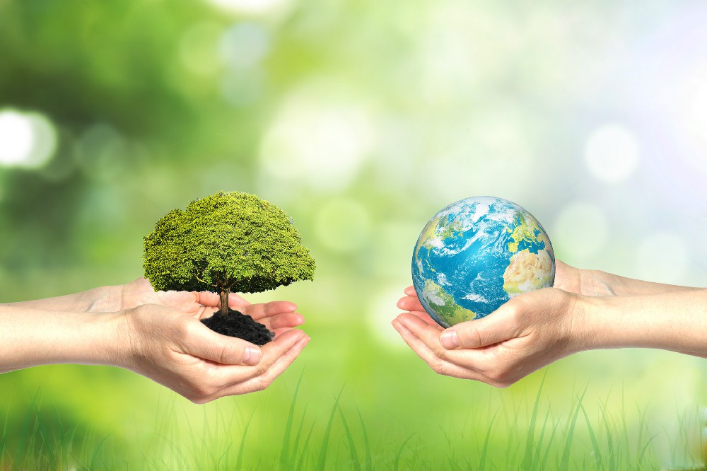 What is environmental testing? Environmental testing projects