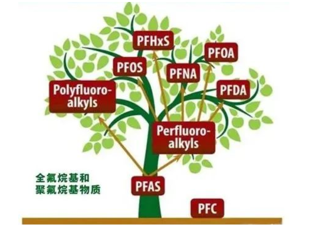 PFAS全氟和多氟烷基物质检测